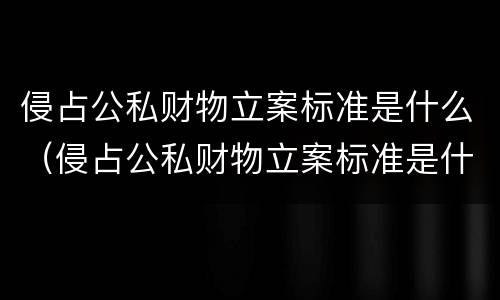 侵占公私财物立案标准是什么（侵占公私财物立案标准是什么规定）