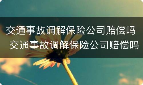 交通事故调解保险公司赔偿吗 交通事故调解保险公司赔偿吗多少钱