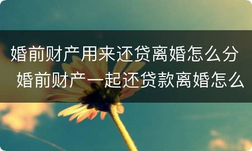 婚前财产用来还贷离婚怎么分 婚前财产一起还贷款离婚怎么分