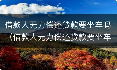 借款人无力偿还贷款要坐牢吗（借款人无力偿还贷款要坐牢吗怎么办）