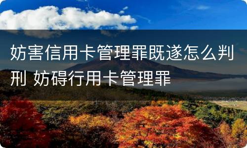 妨害信用卡管理罪既遂怎么判刑 妨碍行用卡管理罪