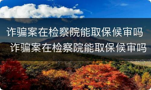 诈骗案在检察院能取保候审吗 诈骗案在检察院能取保候审吗知乎