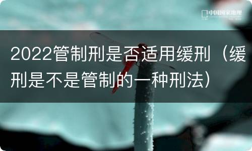 2022管制刑是否适用缓刑（缓刑是不是管制的一种刑法）