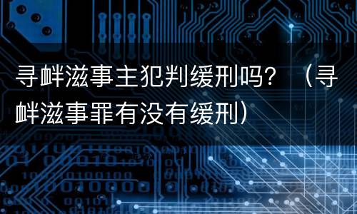 寻衅滋事主犯判缓刑吗？（寻衅滋事罪有没有缓刑）
