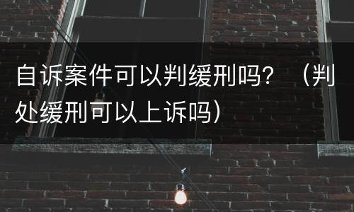 自诉案件可以判缓刑吗？（判处缓刑可以上诉吗）