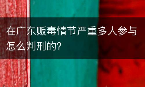 在广东贩毒情节严重多人参与怎么判刑的？