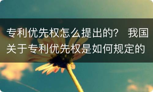 专利优先权怎么提出的？ 我国关于专利优先权是如何规定的