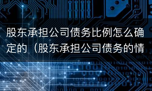 股东承担公司债务比例怎么确定的（股东承担公司债务的情形）