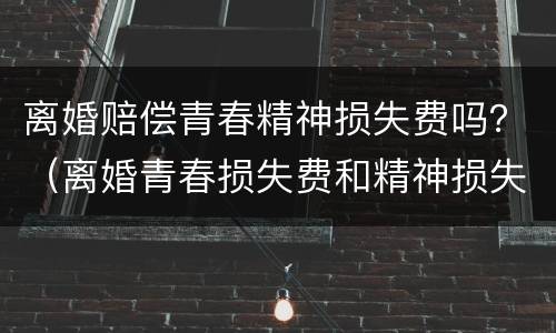 离婚赔偿青春精神损失费吗？（离婚青春损失费和精神损失费能拿多少）