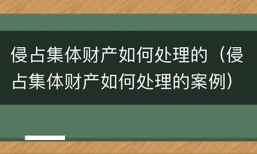 侵占集体财产如何处理的（侵占集体财产如何处理的案例）