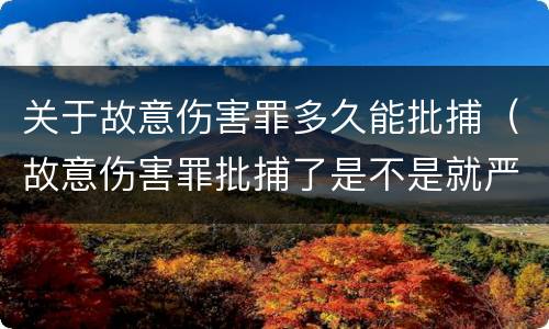 关于故意伤害罪多久能批捕（故意伤害罪批捕了是不是就严重了）