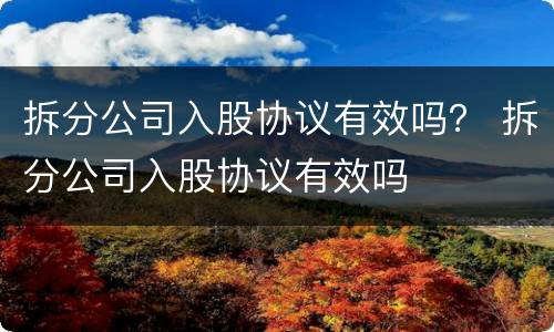 拆分公司入股协议有效吗？ 拆分公司入股协议有效吗