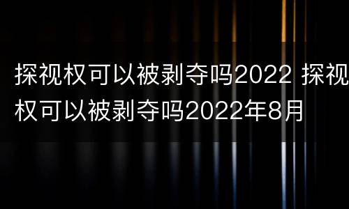 探视权可以被剥夺吗2022 探视权可以被剥夺吗2022年8月