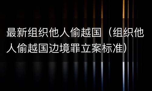 最新组织他人偷越国（组织他人偷越国边境罪立案标准）