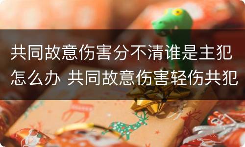 共同故意伤害分不清谁是主犯怎么办 共同故意伤害轻伤共犯追究