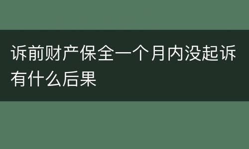 诉前财产保全一个月内没起诉有什么后果