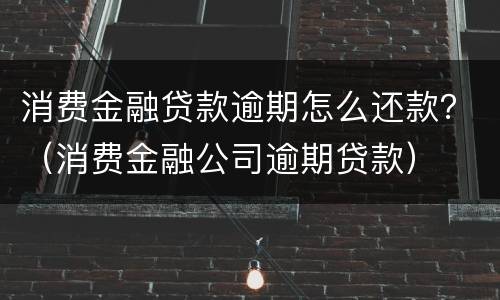 消费金融贷款逾期怎么还款？（消费金融公司逾期贷款）