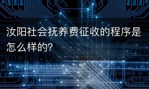 汝阳社会抚养费征收的程序是怎么样的？