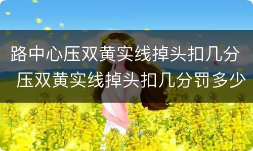 路中心压双黄实线掉头扣几分 压双黄实线掉头扣几分罚多少钱