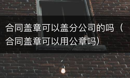 合同盖章可以盖分公司的吗（合同盖章可以用公章吗）