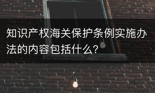 知识产权海关保护条例实施办法的内容包括什么？