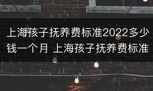 上海孩子抚养费标准2022多少钱一个月 上海孩子抚养费标准2021