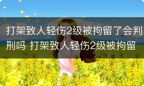 打架致人轻伤2级被拘留了会判刑吗 打架致人轻伤2级被拘留了会判刑吗