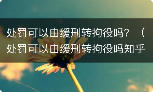处罚可以由缓刑转拘役吗？（处罚可以由缓刑转拘役吗知乎）