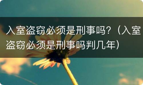 入室盗窃必须是刑事吗?（入室盗窃必须是刑事吗判几年）
