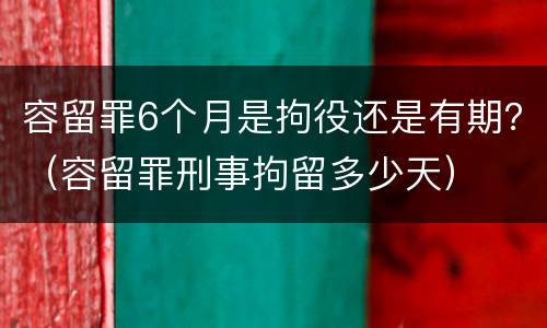 容留罪6个月是拘役还是有期？（容留罪刑事拘留多少天）