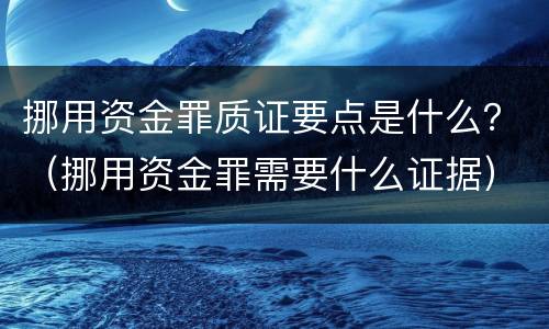 挪用资金罪质证要点是什么？（挪用资金罪需要什么证据）