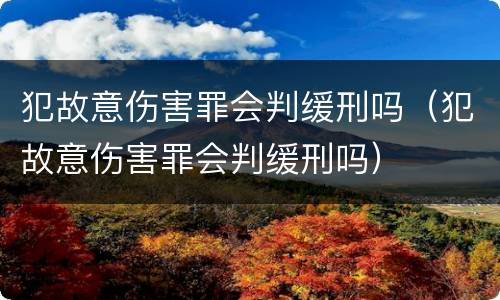 犯故意伤害罪会判缓刑吗（犯故意伤害罪会判缓刑吗）