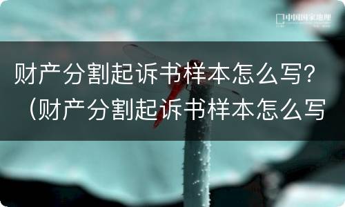 财产分割起诉书样本怎么写？（财产分割起诉书样本怎么写图片）
