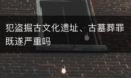 犯盗掘古文化遗址、古墓葬罪既遂严重吗