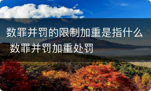 数罪并罚的限制加重是指什么 数罪并罚加重处罚