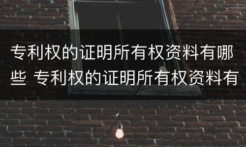 专利权的证明所有权资料有哪些 专利权的证明所有权资料有哪些内容