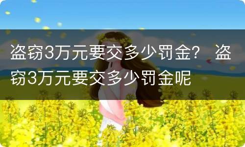 盗窃3万元要交多少罚金？ 盗窃3万元要交多少罚金呢