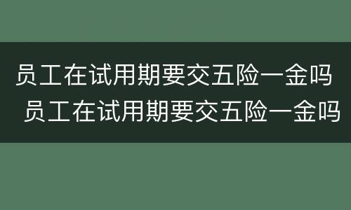 员工在试用期要交五险一金吗 员工在试用期要交五险一金吗合法吗