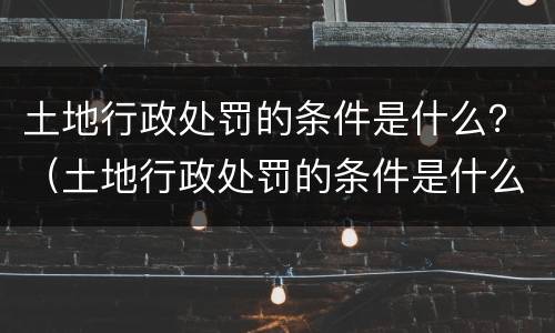 土地行政处罚的条件是什么？（土地行政处罚的条件是什么意思）
