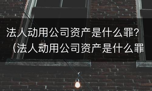 法人动用公司资产是什么罪？（法人动用公司资产是什么罪行）