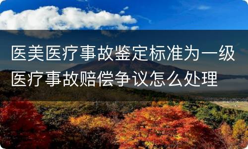 医美医疗事故鉴定标准为一级医疗事故赔偿争议怎么处理