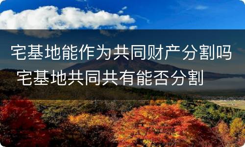 宅基地能作为共同财产分割吗 宅基地共同共有能否分割