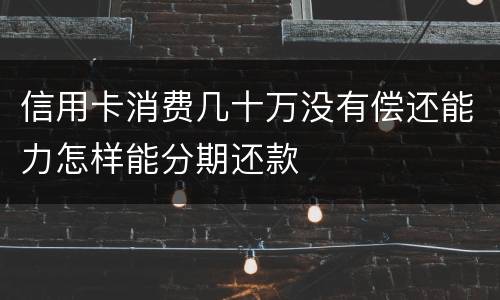 信用卡消费几十万没有偿还能力怎样能分期还款
