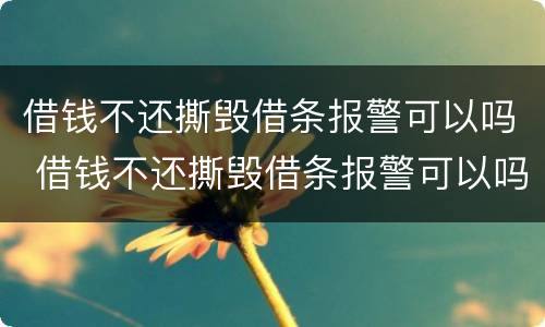 借钱不还撕毁借条报警可以吗 借钱不还撕毁借条报警可以吗有用吗