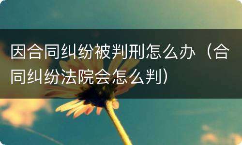 因合同纠纷被判刑怎么办（合同纠纷法院会怎么判）