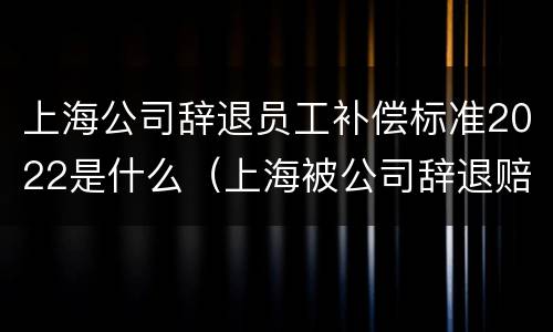 上海公司辞退员工补偿标准2022是什么（上海被公司辞退赔偿标准）