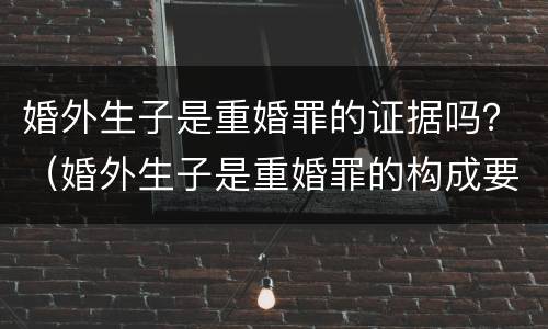 婚外生子是重婚罪的证据吗？（婚外生子是重婚罪的构成要件）