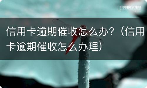 信用卡逾期催收怎么办?（信用卡逾期催收怎么办理）