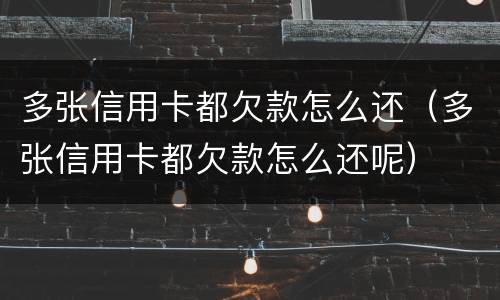 多张信用卡都欠款怎么还（多张信用卡都欠款怎么还呢）