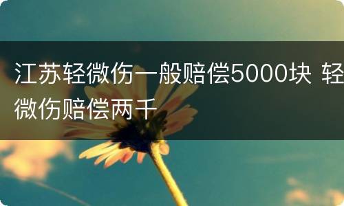 江苏轻微伤一般赔偿5000块 轻微伤赔偿两千